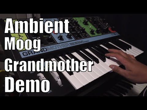 Test Driving the Moog Grandmother with Ambient Sounds