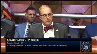 Senator Walczyk Roasts Professional Engineer Over Electrifying Residential Homes