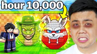 I Spent 10,000 HOURS in Steal An Egg!