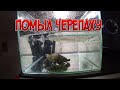 Кронавирус не отдаёт посылку / Банный день ЧЕРЕПАХИ или как я мою черепаху/ Кушаю дошик :)