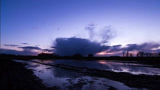 Sunset Over Field Stock Video