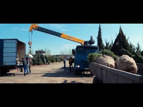 Video: Plant Barnehage Maxiplant I Kirovsk