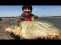 Новый ставок Катеринка!!! Карпы на каждом забросе🤫🎣👍