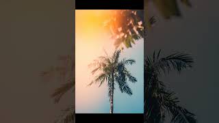 Find AI images Find AI images