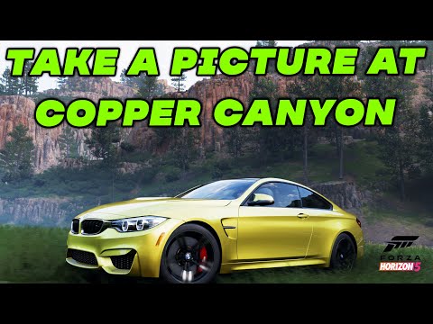 Video: Galeri Foto Copper Canyon