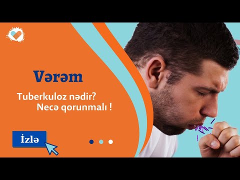 Video: Spitz balasına nə yedizdirmək lazımdır?