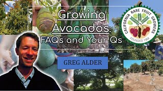Avocado FAQ with Greg Alder