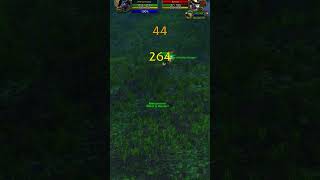 Dwarf Pally + Minions - WoW Classic #Shorts