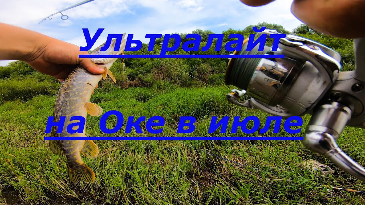 Пробки на оке