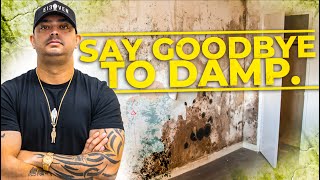 HOW TO FIX DAMP | UK Property | Ste Hamilton