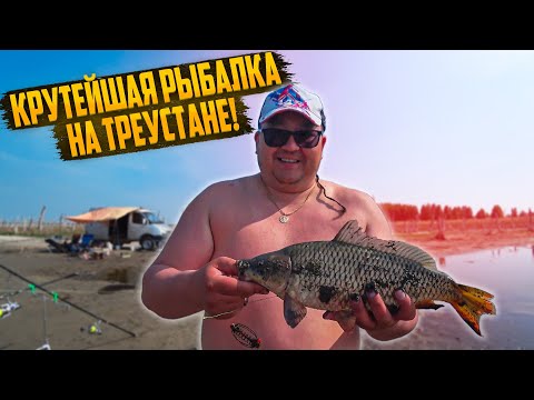 КРУТЕЙШАЯ РЫБАЛКА НА КАРПА. СЕЗОН ШАШЛЫКОВ ОТКРЫТ. НАСТОЯЩИЙ РАЙ НА ЗЕМЛЕ.