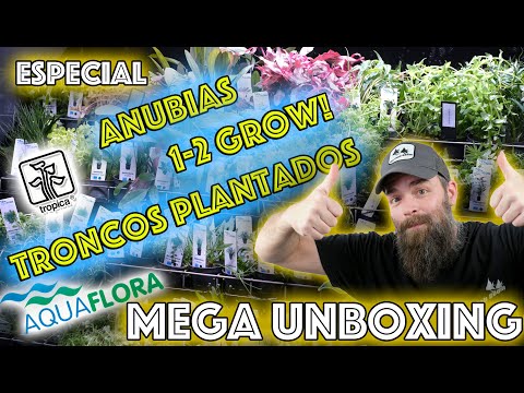Mega unboxing of aquarium plants from Aquaflora & Tropica Denmark