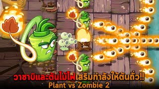 วาซาบิและต้นไม้ไฟเสริมกำลังให้ต้นถั่ว Plant vs Zombie 2