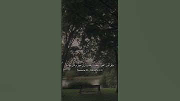 آل عمران 🤍 #قرآن #المصحف #لايك #تلاوة_خاشعة #راحة_نفسية