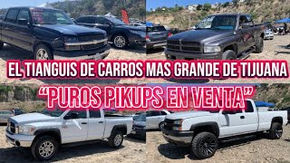 El tianguis de carros más grande de Tijuana “puros pikups en venta”