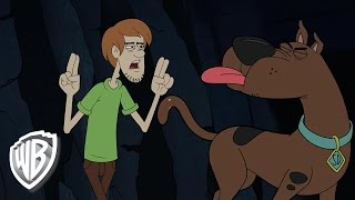 Be Cool, Scooby-Doo! | Dog Owner