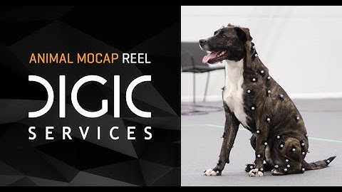 DIGIC Services - Animal Mocap Reel