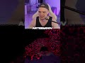 СПИДРАН НЕ УДАЛСЯ | PRATFALL | #artemov #морган #игры #юмор #gaming #game #кооп