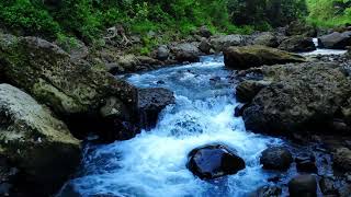 Relaxing White Noise of Mountain Stream, Tropical Nature Sounds - Relaxing River Sounds