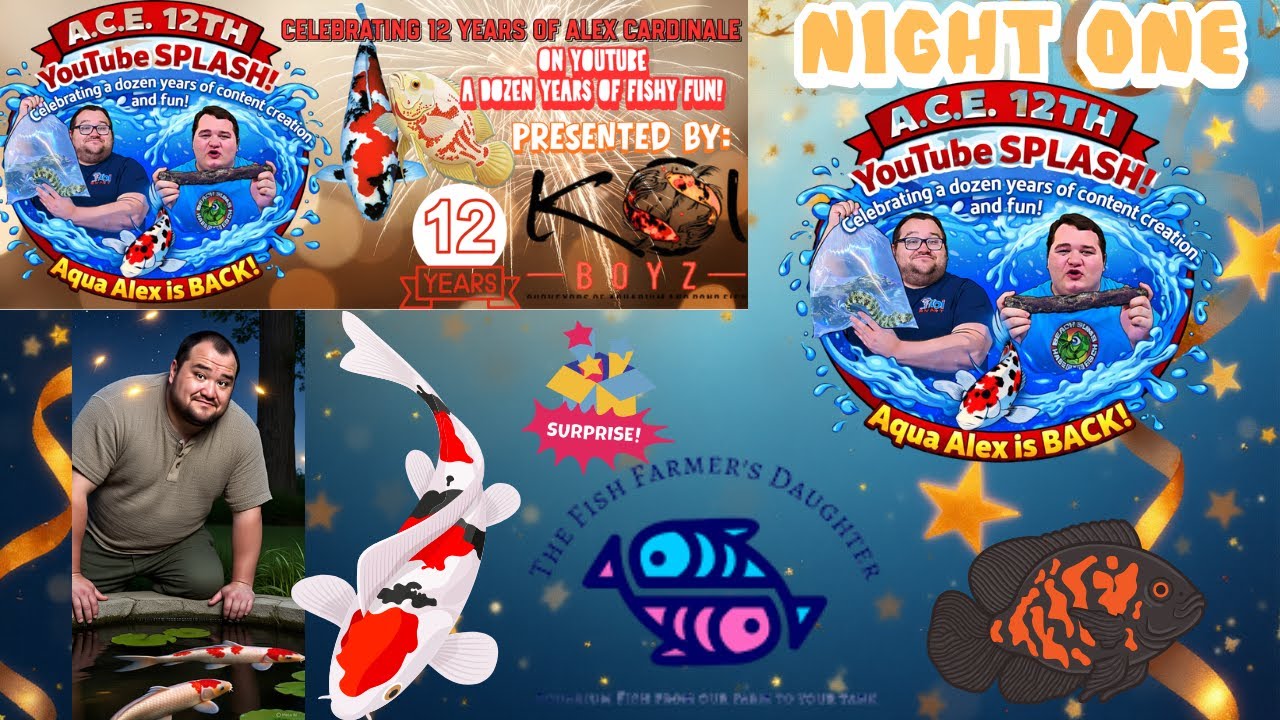 A.C.E. 12TH YouTube Splash Night One