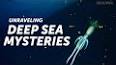 The Fascinating World of Deep-Sea Exploration ile ilgili video