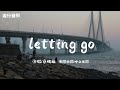 蔡健雅-letting go「我終於捨得為你放開手，因為愛你愛到我心痛」動態歌詞/中文歌詞
