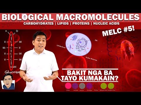 Biological Macromolecules | Carbohydrates, Lipids, Proteins, Nucleic Acids | ScienceKwela