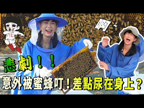 密集恐懼？拍片現場被叮了😱用生命拍片開箱蜂巢🐝｜白癡公主