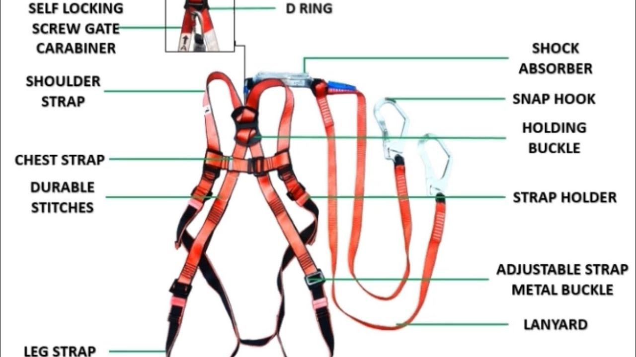 Double Lanyard Full Body Harness Inspection Guide