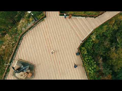 Reproductor de vídeo de YouTube