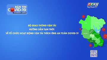 BỘ GTVT HƯỚNG DẪN TỔ CHỨC VẬN TẢI HÀNH KHÁCH, LIÊN TỈNH THEO 4 CẤP ĐỘ DỊCH | TayNinhTVAudio