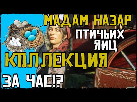 ГАЙД КОЛЛЕКЦИЯ ПТИЧЬИХ ЯИЦ- МАДАМ НАЗАР В RDR ONLINE