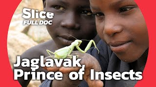 Jaglavak: The Dragon Ant of Cameroon | FULL DOCUMENTARY