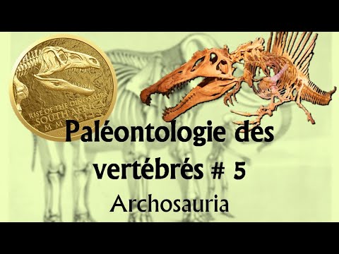 Vidéo: Les paléontologues lèchent-ils les os ?