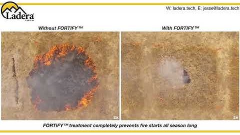 Fortify Demo Video