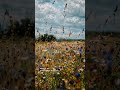 You can also find the song on Spotify