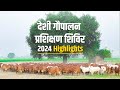 Desi Gopalan Training Program | देशी गौपालन प्रशिक्षण शिविर | Kamdhenu Gaushala | Highlights | 2024|