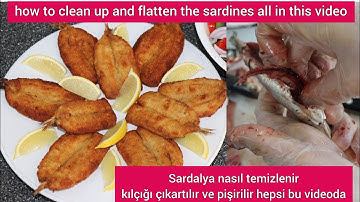 Sardalya temizlemek kılçığını çıkarmak ve pişirmek tarif how to cleanup sardines take the bones off