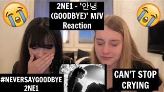 2ne1 안녕 goodbye mv reaction the tears wont stop