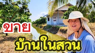 #ขายบ้านในสวนมะม่วง พื้นที่เกือบ 4 ไร่ 😄😄😄 อ.เมือง สุพรรณบุรี คุ้ม ๆ อีกแปลง