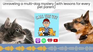 Unraveling a multi-dog mystery (with lessons for every pet parent) by Our Pets Health 106 views 1 month ago 15 minutes