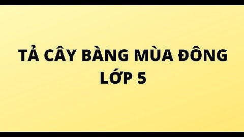 Bài văn tả cây bàng vào mùa thu năm 2024