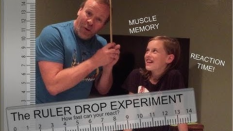 Reaction Time: The Ruler Drop Test Experiment (muscle memory / science project)