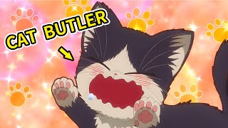 After The Novel Writer Lost His Parents, He Was Cared For By The Cute Kitten He Found | Anime Recap