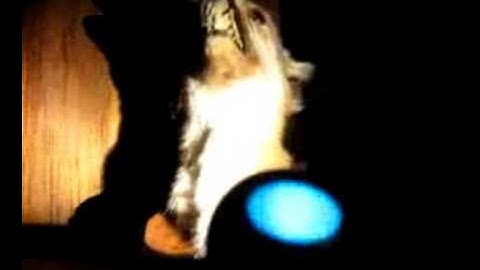 Baketan Ghost Detector