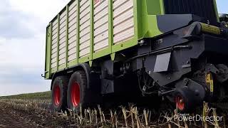 Mais hakselen 2018 van van dijk uit hoogland