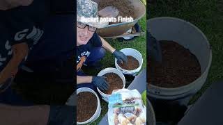 Bucket Potato prep final video before growing. #tatorcrusader #gardening