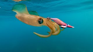 THE SQUID FISHING TRICK YOU NEED TO KNOW!