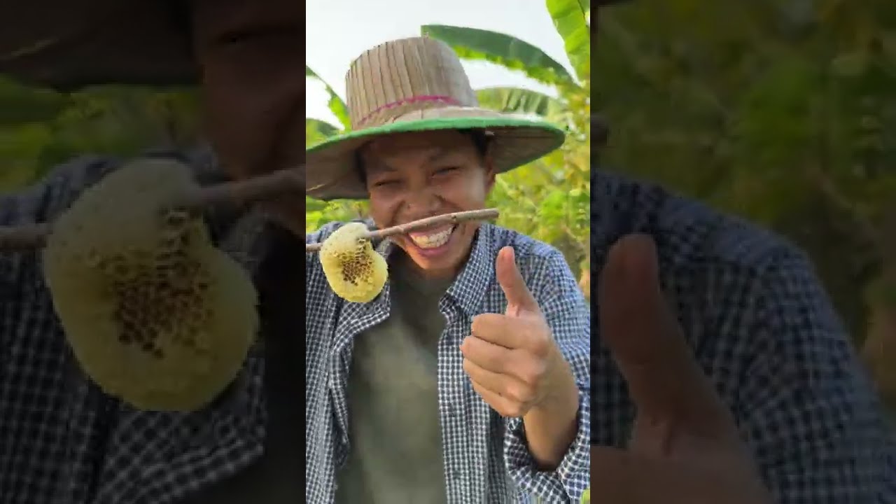 ថ្ងៃនេះទៅយកឃ្មុំ Chhom Sreypach - ឆម ស្រីផាច