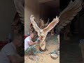Amazing wood carving skill who was working to create eagle